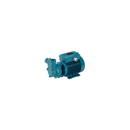 CALPEDA CAM 90A 0.75 HP Elettropompa Autoadescante