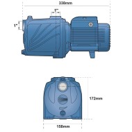 Pedrollo Elettropompa Centrifuga 1Hp 2CPm25/130N